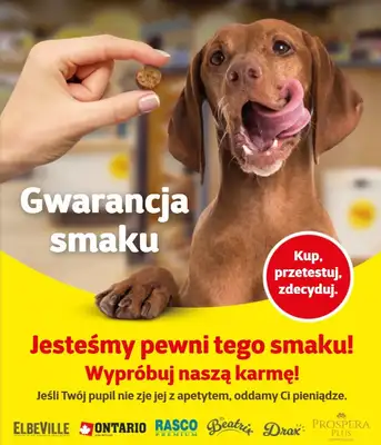 Super Zoo - gazetka promocyjna Gazetka od czwartku 06.08 do środy 19.08 - strona 7