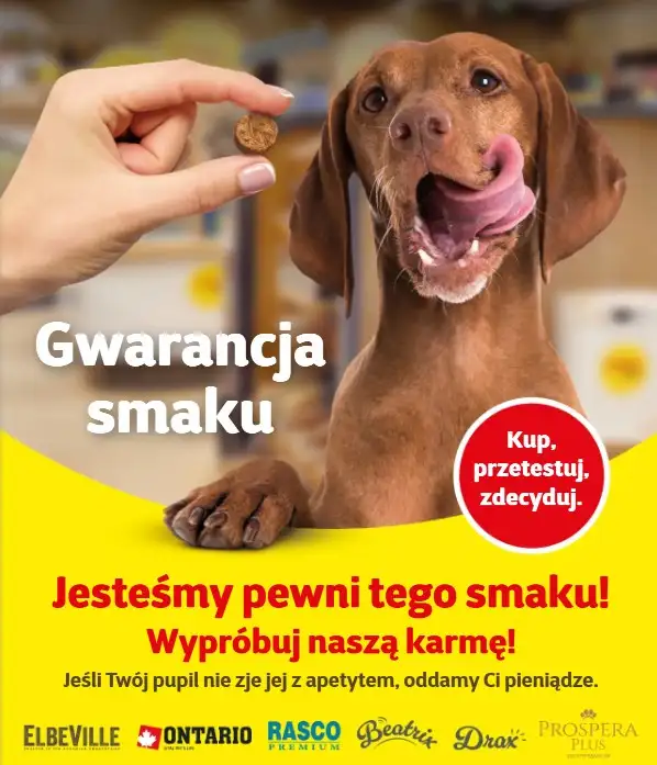 Super Zoo - gazetka promocyjna Gazetka od czwartku 06.08 do środy 19.08 - strona 7