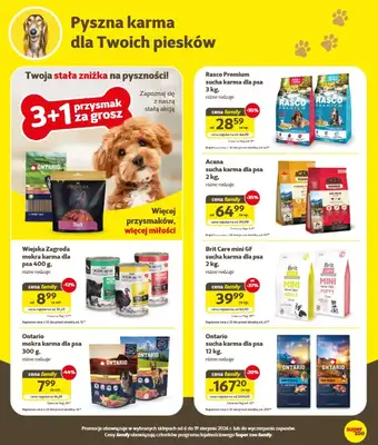 Super Zoo - gazetka promocyjna Gazetka od czwartku 06.08 do środy 19.08 - strona 3