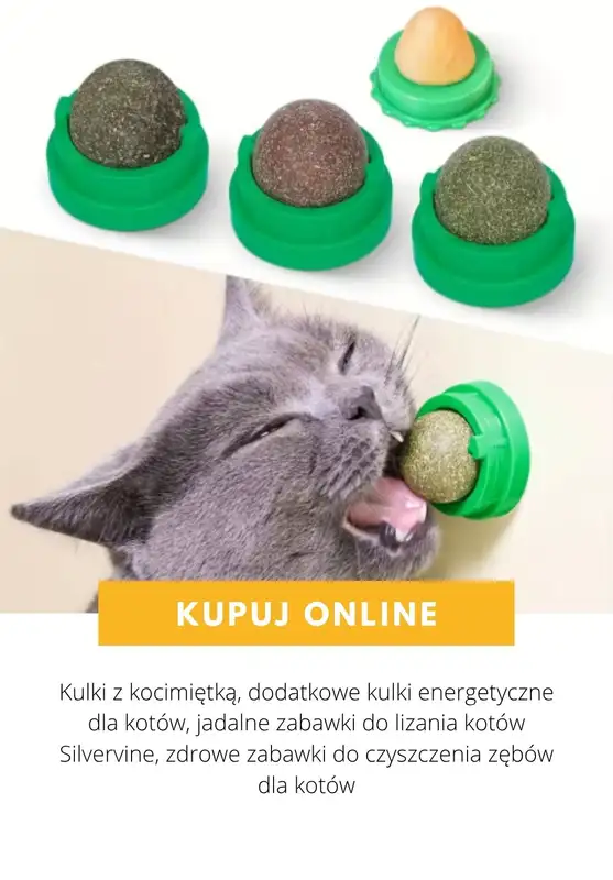 AliExpress - gazetka promocyjna Produkty dla zwierząt od poniedziałku 03.08  - strona 6