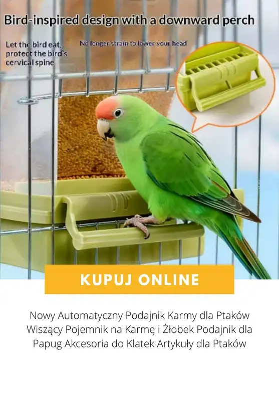 AliExpress - gazetka promocyjna Produkty dla zwierząt od poniedziałku 03.08  - strona 8