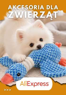 AliExpress - gazetka promocyjna Produkty dla zwierząt od poniedziałku 03.08 