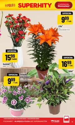 POLOmarket - gazetka promocyjna Gazetka od środy 05.08 do wtorku 11.08 - strona 19