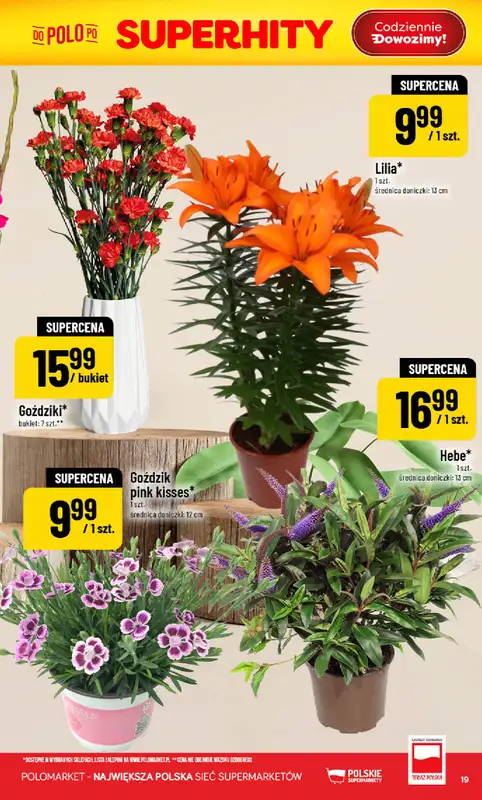 POLOmarket - gazetka promocyjna Gazetka od środy 05.08 do wtorku 11.08 - strona 19