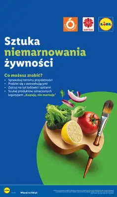 Lidl - gazetka promocyjna Katalog od poniedziałku 10.08 do piątku 14.08 - strona 58