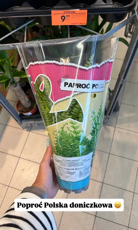 Biedronka - gazetka promocyjna Zakupowe Inspiracje w Biedronce od piątku 07.08  - strona 10