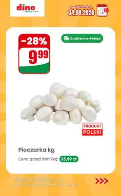 Dino - gazetka promocyjna Specjalna oferta na 04.08.2026 - promocje spoza gazetki od wtorku 04.08 do wtorku 04.08 - strona 6