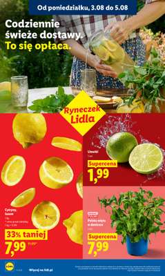 Lidl - gazetka promocyjna Oferta od poniedziałku od poniedziałku 03.08 do środy 05.08 - strona 40