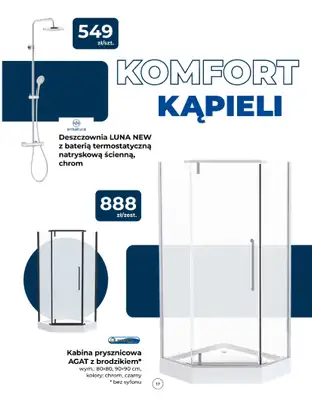 PSB Mrówka - gazetka promocyjna Gazetka od czwartku 06.08 do piątku 14.08 - strona 17