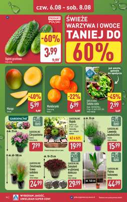 Aldi - gazetka promocyjna Pełny katalog! od poniedziałku 03.08 do soboty 08.08 - strona 34