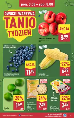 Aldi - gazetka promocyjna Pełny katalog! od poniedziałku 03.08 do soboty 08.08 - strona 7