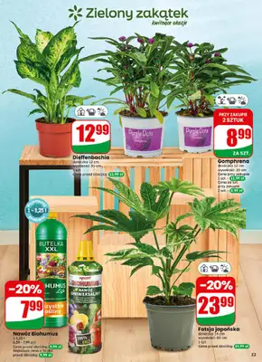 Dino - gazetka promocyjna Gazetka 32 / 2026 od środy 05.08 do wtorku 11.08 - strona 53