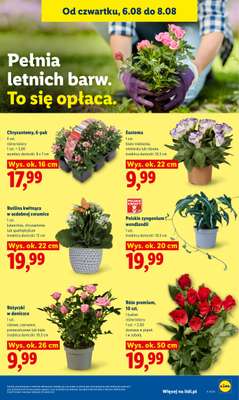 Lidl - gazetka promocyjna Oferta od czwartku od czwartku 06.08 do soboty 08.08 - strona 87