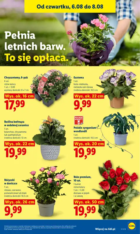 Lidl - gazetka promocyjna Oferta od czwartku od czwartku 06.08 do soboty 08.08 - strona 87