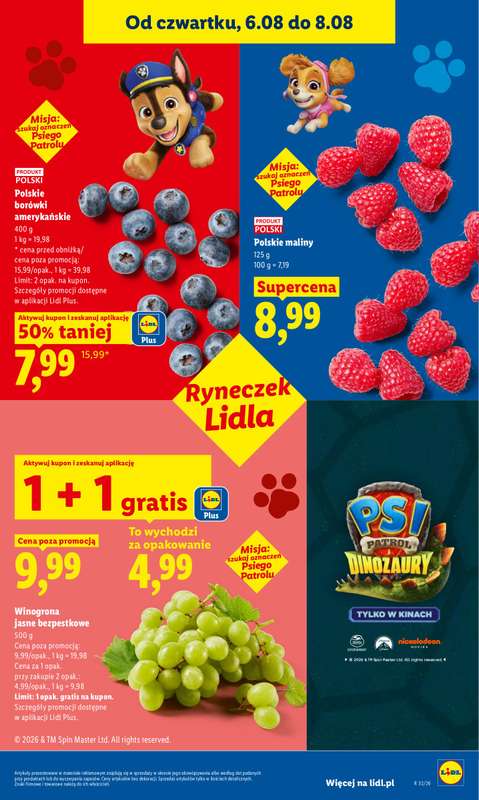 Lidl - gazetka promocyjna Oferta od czwartku od czwartku 06.08 do soboty 08.08 - strona 49
