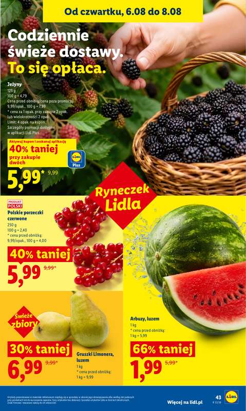 Lidl - gazetka promocyjna Oferta od czwartku od czwartku 06.08 do soboty 08.08 - strona 43