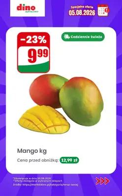 Dino - gazetka promocyjna Specjalna oferta na 05.08.2026 - promocje spoza gazetki od środy 05.08 do środy 05.08 - strona 4