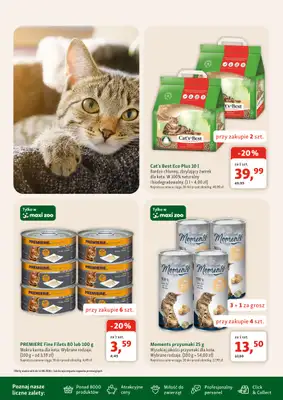 MAXI ZOO - gazetka promocyjna Gazetka  do środy 12.08 - strona 6
