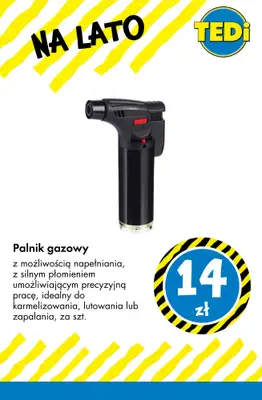 Tedi - gazetka promocyjna Artykuły na lato : zabawki, baseny, grill od środy 05.08  - strona 13