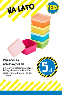Tedi - gazetka promocyjna Artykuły na lato : zabawki, baseny, grill od środy 05.08  - strona 15