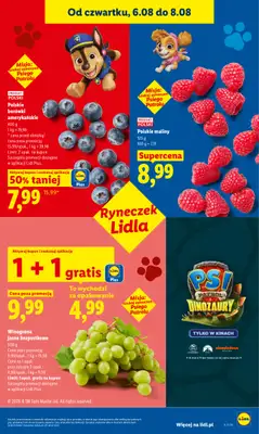Lidl - gazetka promocyjna Oferta od czwartku od czwartku 06.08 do soboty 08.08 - strona 49