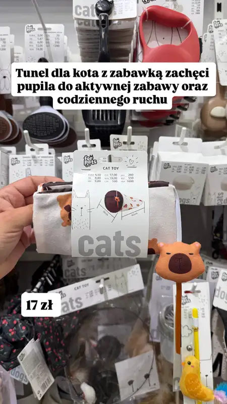 Pepco - gazetka promocyjna Zakupowe Inspiracje w Pepco od poniedziałku 10.08 do środy 12.08 - strona 5