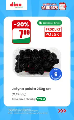 Dino - gazetka promocyjna Specjalna oferta na 06.08.2026 - promocje spoza gazetki od czwartku 06.08 do czwartku 06.08 - strona 2