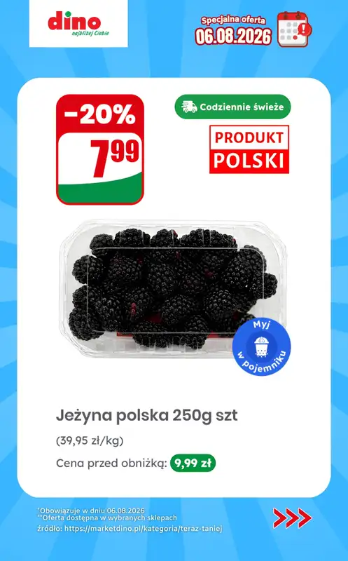 Dino - gazetka promocyjna Specjalna oferta na 06.08.2026 - promocje spoza gazetki od czwartku 06.08 do czwartku 06.08 - strona 2