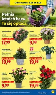 Lidl - gazetka promocyjna Oferta od czwartku od czwartku 06.08 do soboty 08.08 - strona 87