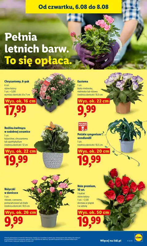 Lidl - gazetka promocyjna Oferta od czwartku od czwartku 06.08 do soboty 08.08 - strona 87