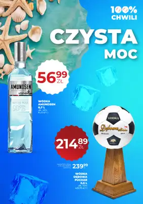 Duży Ben - gazetka promocyjna Gazetka alkoholowa od czwartku 06.08 do środy 19.08 - strona 38