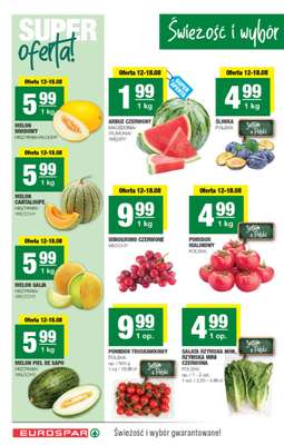 SPAR - gazetka promocyjna Gazetka Eurospar od środy 12.08 do niedzieli 23.08 - strona 2