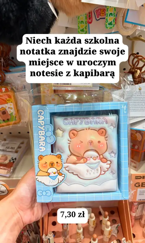 MR. DIY - gazetka promocyjna Zakupowe Inspiracje w MR.DIY od poniedziałku 10.08  - strona 3