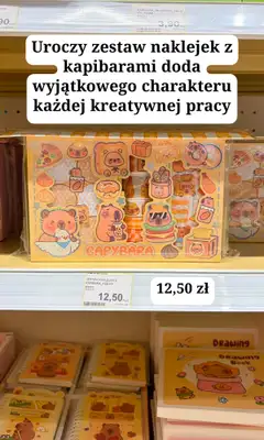 MR. DIY - gazetka promocyjna Zakupowe Inspiracje w MR.DIY od poniedziałku 10.08  - strona 19