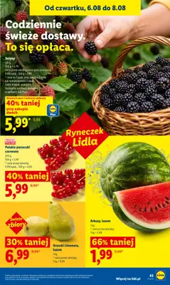 Lidl - gazetka promocyjna Oferta od czwartku od czwartku 06.08 do soboty 08.08 - strona 43