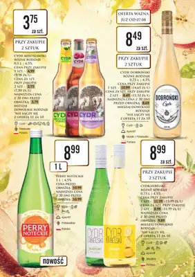 Dino - gazetka promocyjna Katalog alkoholowyㅤ od poniedziałku 10.08 do piątku 14.08 - strona 31