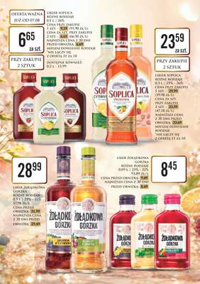 Dino - gazetka promocyjna Katalog alkoholowyㅤ od poniedziałku 10.08 do piątku 14.08 - strona 19