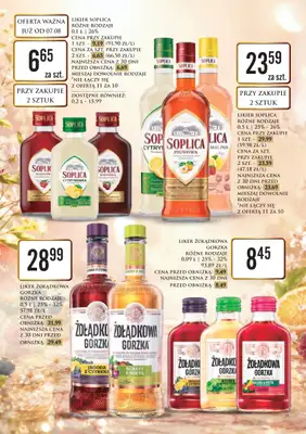 Dino - gazetka promocyjna Katalog alkoholowyㅤ od poniedziałku 10.08 do piątku 14.08 - strona 19