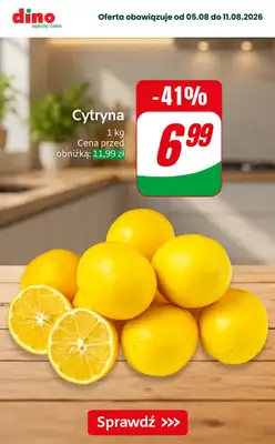 Dino - gazetka promocyjna Nawet do -50% taniej od piątku 07.08 do wtorku 11.08 - strona 5