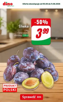 Dino - gazetka promocyjna Nawet do -50% taniej od piątku 07.08 do wtorku 11.08 - strona 2