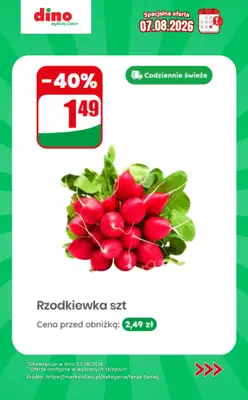 Dino - gazetka promocyjna Specjalna oferta na 07.08.2026 - promocje spoza gazetki od piątku 07.08 do piątku 07.08 - strona 8