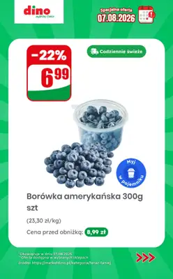 Dino - gazetka promocyjna Specjalna oferta na 07.08.2026 - promocje spoza gazetki od piątku 07.08 do piątku 07.08 - strona 2
