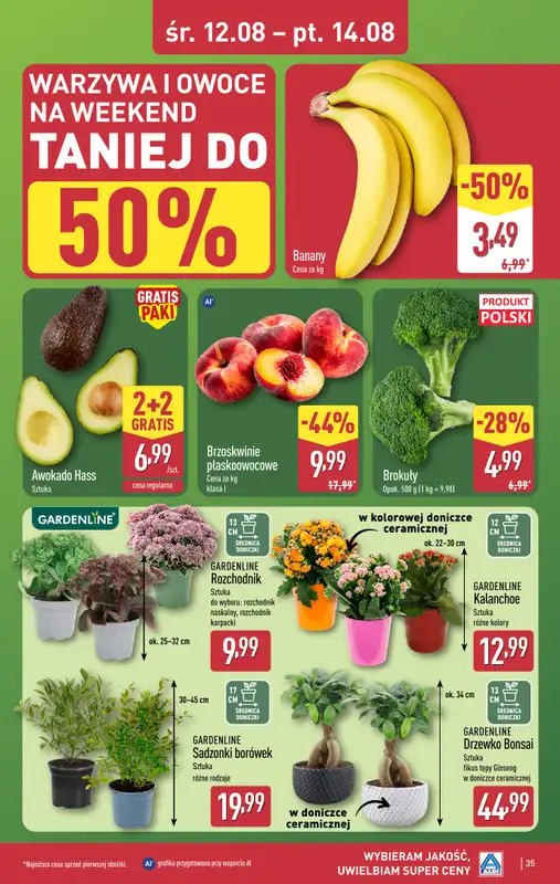 Aldi - gazetka promocyjna Pełny katalog! od poniedziałku 10.08 do piątku 14.08 - strona 35