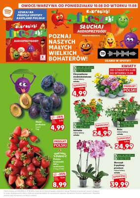 Kaufland - gazetka promocyjna Mocny Start od poniedziałku 10.08 do wtorku 11.08 - strona 3