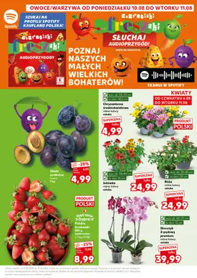 Kaufland - gazetka promocyjna Mocny Start od poniedziałku 10.08 do wtorku 11.08 - strona 3