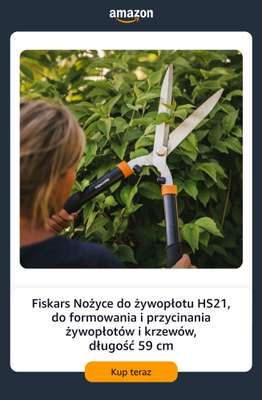 Amazon - gazetka promocyjna Narzędzia ogrodowe i sprzęt do nawadniania od piątku 07.08  - strona 6