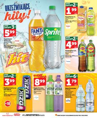 TOPAZ - gazetka promocyjna Gazetka od czwartku 13.08 do środy 19.08 - strona 42