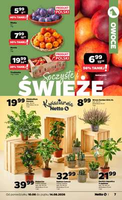 Netto - gazetka promocyjna Gazetka Spożywcza od poniedziałku 10.08 do piątku 14.08 - strona 7