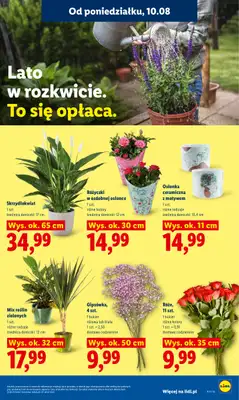 Lidl - gazetka promocyjna Oferta od poniedziałku od poniedziałku 10.08 do wtorku 11.08 - strona 93