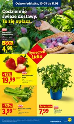 Lidl - gazetka promocyjna Oferta od poniedziałku od poniedziałku 10.08 do wtorku 11.08 - strona 43